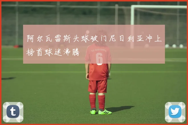 阿尔瓦雷斯头球破门尼日利亚冲上榜首球迷沸腾