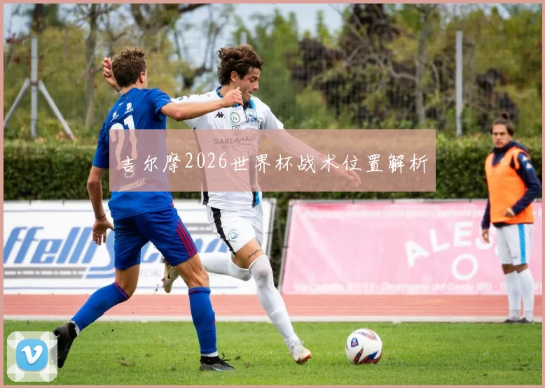 吉尔摩2026世界杯战术位置解析