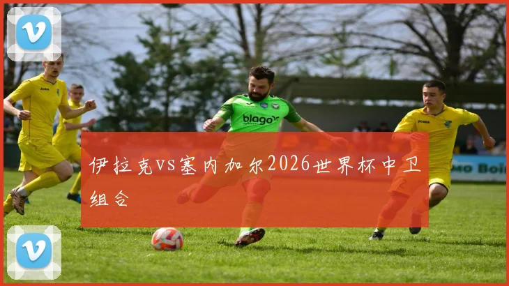 伊拉克vs塞内加尔2026世界杯中卫组合