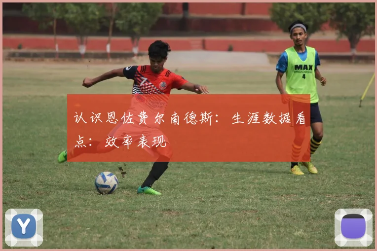 认识恩佐费尔南德斯:生涯数据看点:效率表现