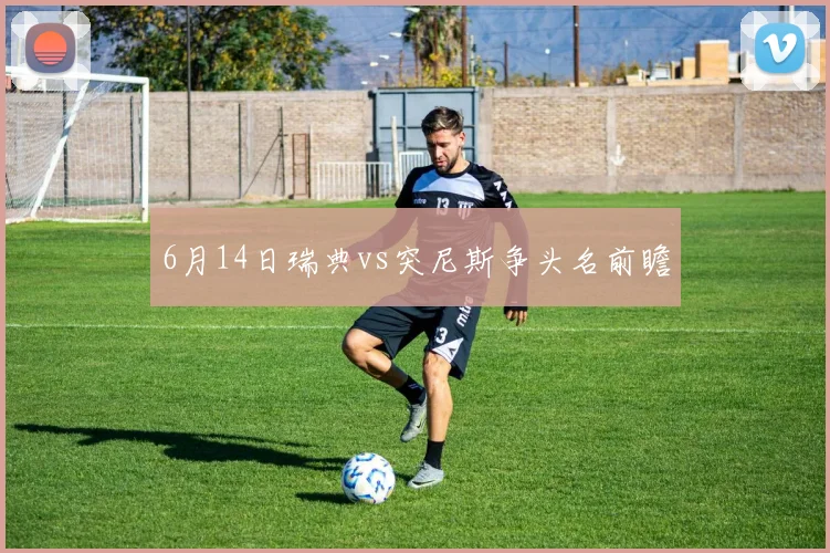 6月14日瑞典vs突尼斯争头名前瞻