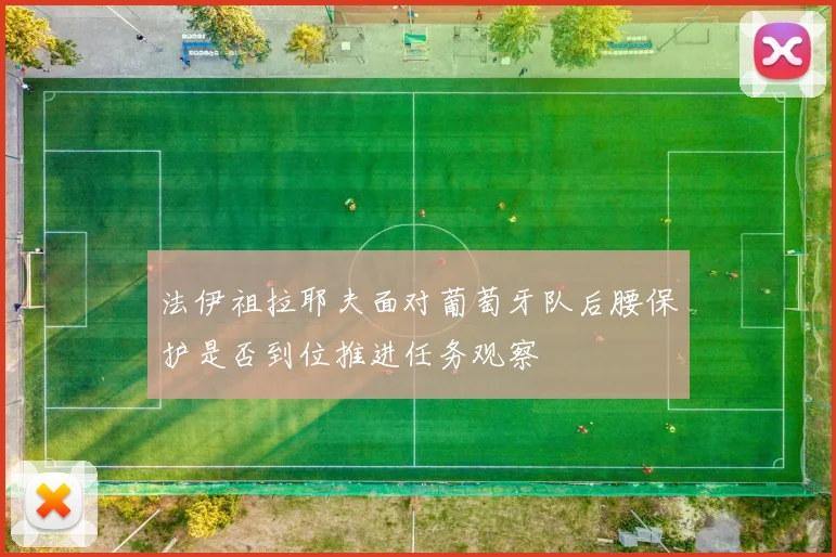 法伊祖拉耶夫面对葡萄牙队后腰保护是否到位推进任务观察