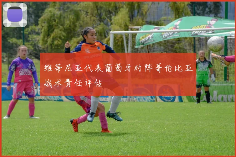 维蒂尼亚代表葡萄牙对阵哥伦比亚战术责任评估